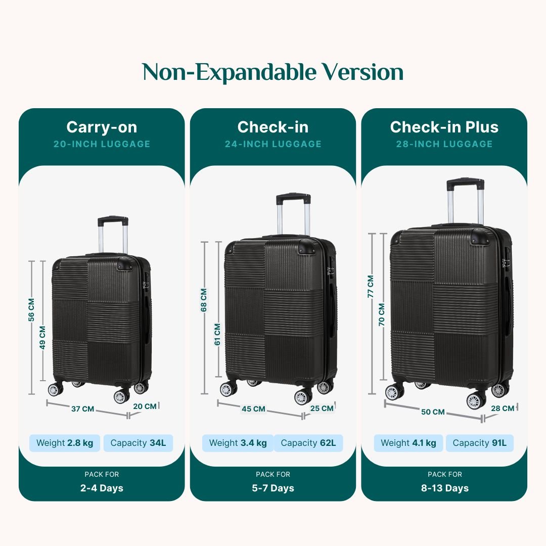 Double Wheels Luggage